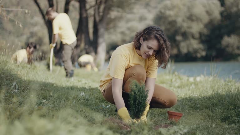Best Lawn Renovation and Restoration  in Cornell, WI