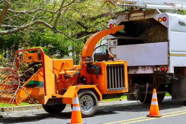 Best Seasonal Cleanup (Spring/Fall)  in Cornell, WI