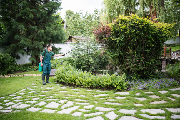 Best Root Management and Removal  in Cornell, WI