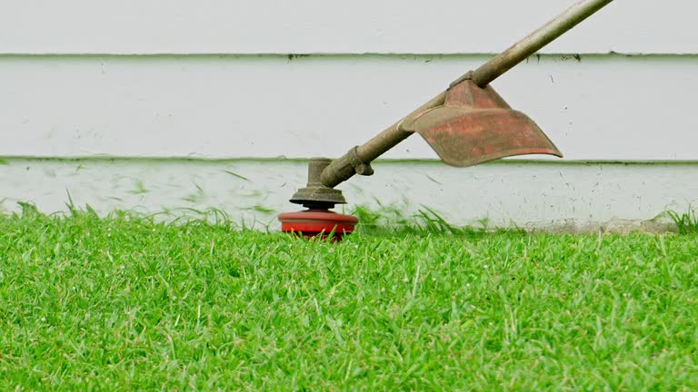 Best Lawn Pest Prevention  in Cornell, WI